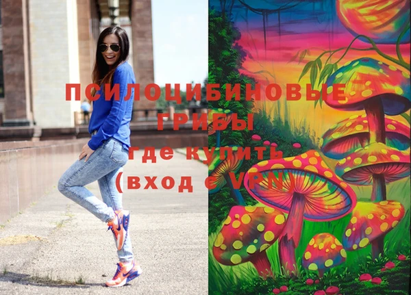 мескалин Богородицк