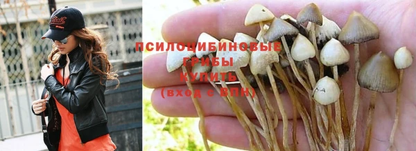 мескалин Богородицк